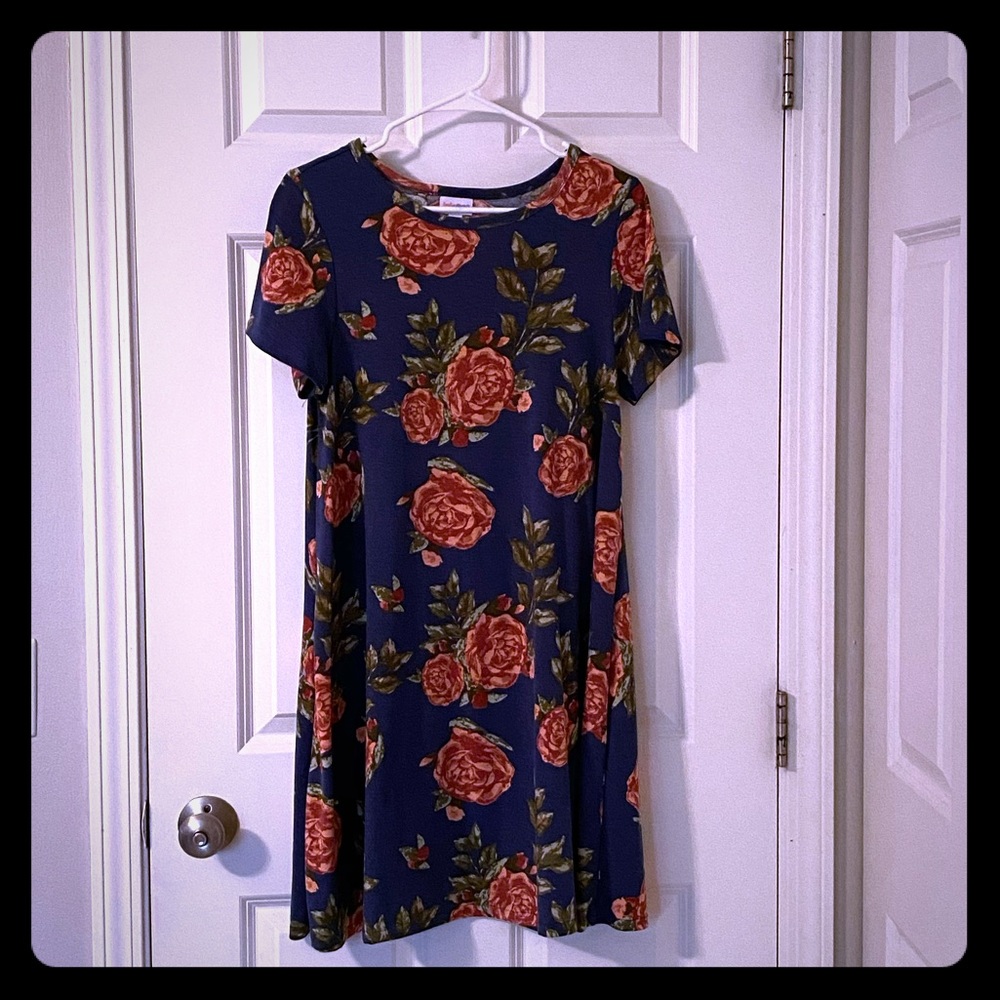 Lularoe Carly Small (tailored to be one length)